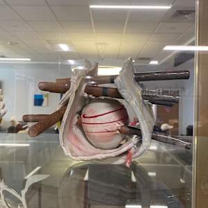 Fiorenzo Berardozzi by Fiorenzo Berardozzi