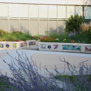 The Hulda B. and Maurice L. Rothschild Mosaics 