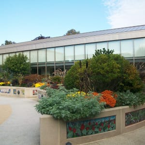 The Hulda B. and Maurice L. Rothschild Mosaics 