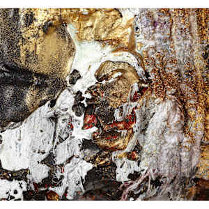Scavenging #1 by Ginny Sykes, Image 2.