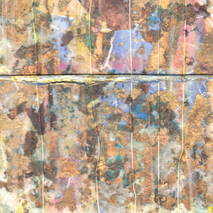 Asylum by Gwen Meharg