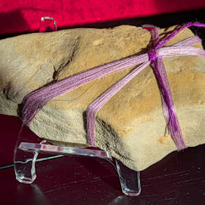 RP 46 by Gwen Meharg