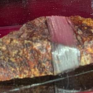 RP 47 by Gwen Meharg