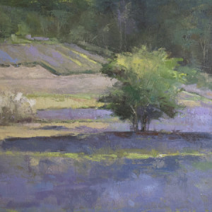 Lavender Fields Forever by Deb Kirkeeide