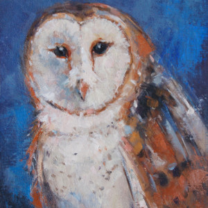 Barn Owl by Deb Kirkeeide