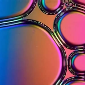 Macro 60 by Robin Moore