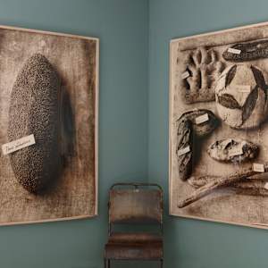Bread Still Life, Image 1.
