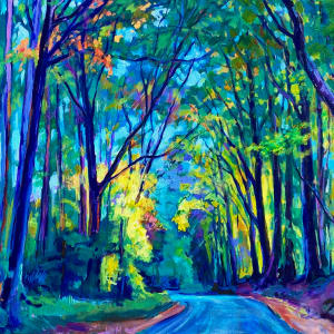 The Happy Road by Brenda M. Sylvia