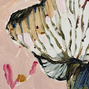 Conversations with a Cap by Kate Owen 