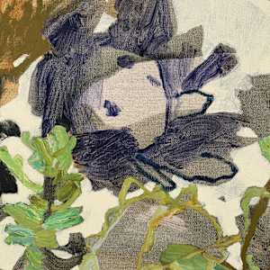 Photosynthesis by Kate Owen, Image 5.