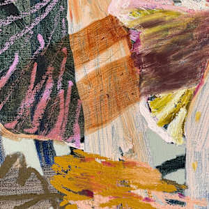 Pinkgills Genus Entoloma by Kate Owen, Image 6.