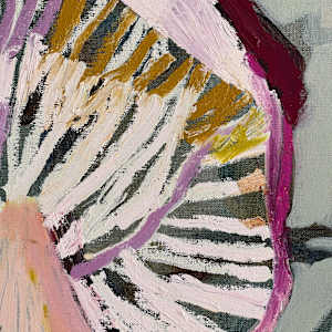 The Rosy Bonnet Mycena Rosea by Kate Owen, Image 6.