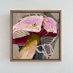 Webcap 1 Cortinarius Magellanicus by Kate Owen 