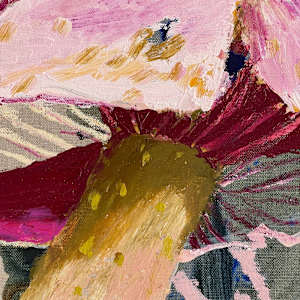 Webcap 1 Cortinarius Magellanicus by Kate Owen 