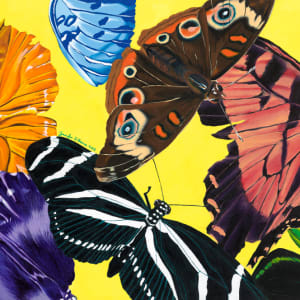 Butterfly Waltz by Jennifer Brewer Stone 