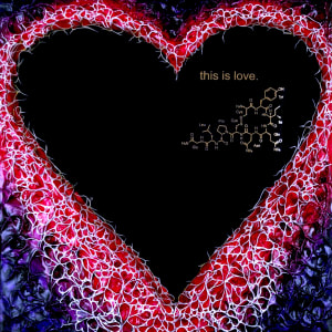 For the Love of Science: Oxytocin by Jennifer Brewer Stone