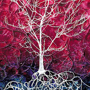 Hope Springs by Jennifer Brewer Stone 
