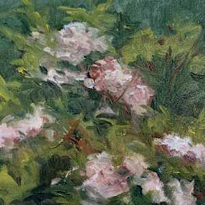 Enduring by Amy Evans