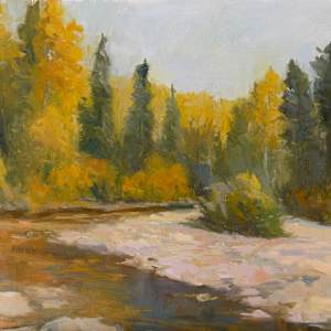 When the Forest Holds Its Breath by Amy Evans