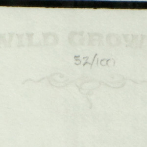 "Wild Growth" by Jeff Soto 