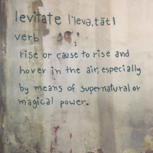 Levitate by Juliana Naufel (naufss) 