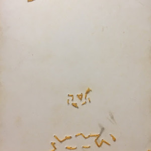 Better Days by Juliana Naufel (naufss) 