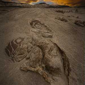 Sunset Nap, New Mexico Badlands by Lisa Libretto
