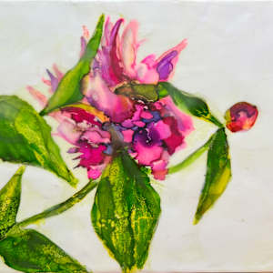 Peonies by Lisa Libretto