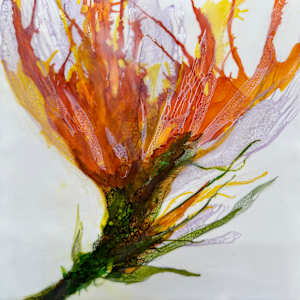 Combustion in Spring by Lisa Libretto