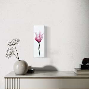 Blush Study by Lisa Libretto, Image 2.