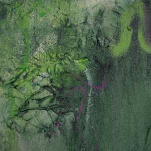 Entangled by Lisa Libretto  Image: close up of some texture