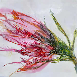 Slipper by Lisa Libretto, Image 2.