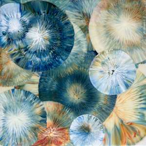Gaea No. 26 by Jen Glover Riggs, Image 1.
