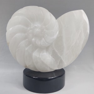 Nautilus III by Scott Gentry Sculpture  Image: Scott Gentry Sculpture. "Nautilus III" front view in natural studio light. Translucent Italian alabaster on black marble base. Measures 18H x 18W x 9D inches.