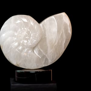 Nautilus III by Scott Gentry Sculpture  Image: Scott Gentry Sculpture. "Nautilus III" front view. Translucent Italian alabaster on black marble base. Measures 18H x 18W x 9D inches.