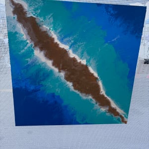 Smiling Shoal by Lisa Heintzman 
