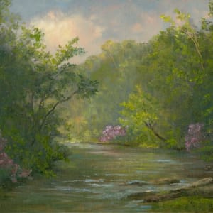 Mountain Laurel along stream by Tarryl Gabel