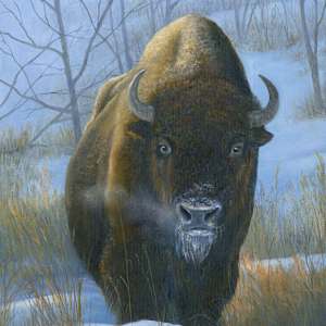 To close for comfort! by Tarryl Gabel