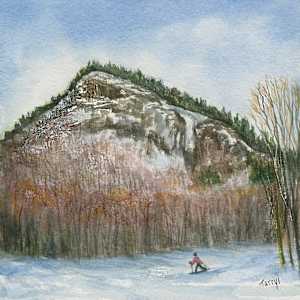 Cross Country Skier, Crawford Notch NH by Tarryl Gabel
