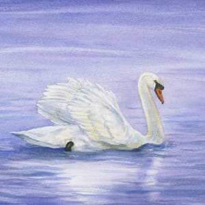 Swan- by Tarryl Gabel