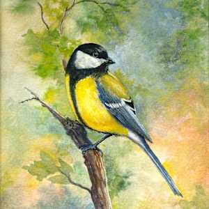 Titmouse by Tarryl Gabel, Image 1.