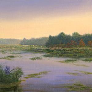 North Country Marsh in bloom by Tarryl Gabel, Image 1.