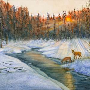 Deer along winter stream by Tarryl Gabel