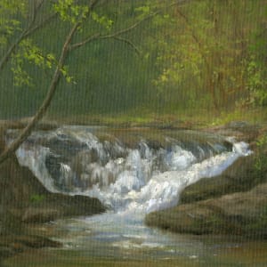 Waterfall, Smokey Mnts by Tarryl Gabel