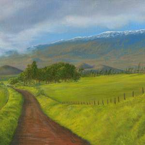 Hawaii - commissioned work by Tarryl Gabel