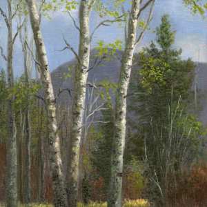 Aspenglen, Rocky Mnt. National Park by Tarryl Gabel
