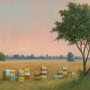 Hot & Hazy Afternoon with Bee Boxes by Tarryl Gabel