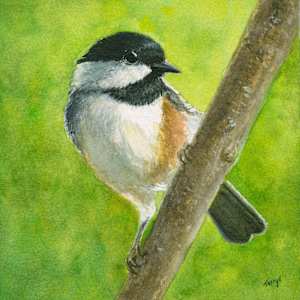 Chickadee by Tarryl Gabel