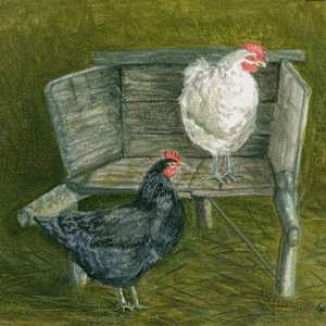 Chickens by Tarryl Gabel
