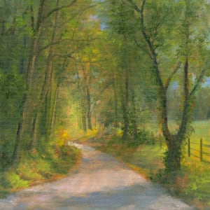 Country Road in Dappled Light by Tarryl Gabel